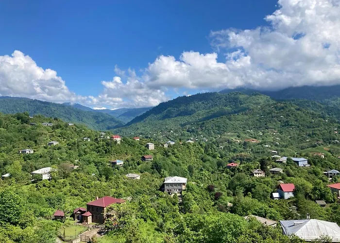 8 Mountains Near Chakvi * Gorgadzeebi