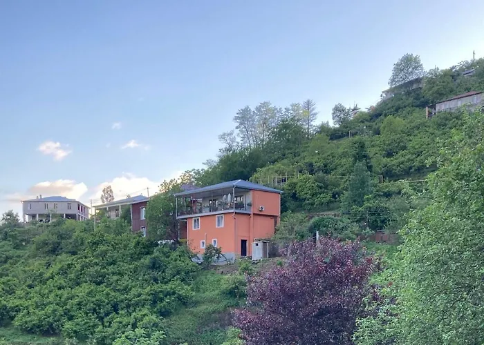 8 Mountains Near Chakvi